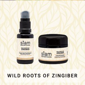 wild roots of zingiber